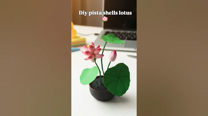 diy pista shell lotus 🪷 #pistashellcrafts #diy #craft #lotusflower #viral #shorts