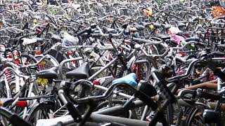 Vignette de la vidéo "Sjors van der Panne - Amsterdam, zo zie ik je graag [OFFICIAL LYRICS VIDEO}"