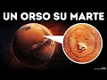 Gli Astronomi della NASA Hanno Scoperto un Orso su Marte