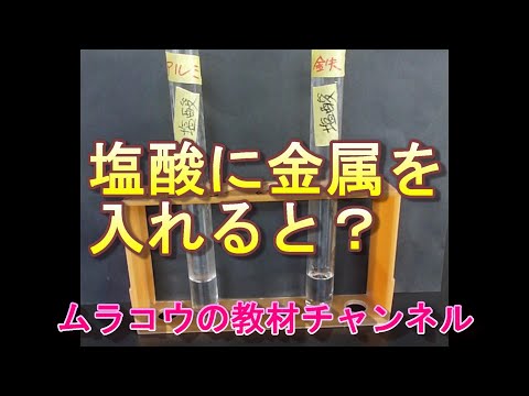 塩酸に金属を入れてみると（小６理科）