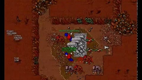 Tibia Isara Noob Pking