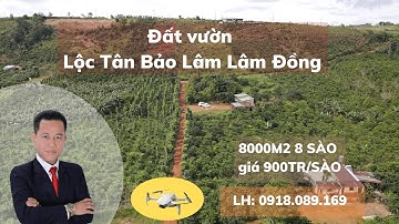 Bán đất Lộc Bảo Bảo Lâm, Lâm Đồng 8 sào đất vườn Lộc An giá 900tr/ sào Phước Sửu.