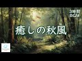 秋風と赤とんぼ ─ チェロ＆ピアノ【 3時間BGM 】Autumn Breeze and Red Dragonflies