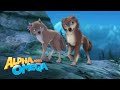 'Really Into Fitness' Scene | Alpha and Omega
