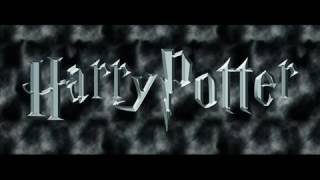 Harry Potter Film Müziği Resimi