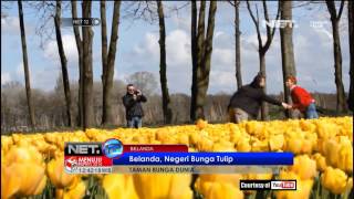 Padang bunga cantik di dunia - NET12