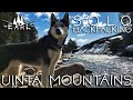 Solo Camping with a Husky - Uinta Mountains