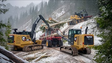 Sustainable Logging: The Key to Saving Our Planet!