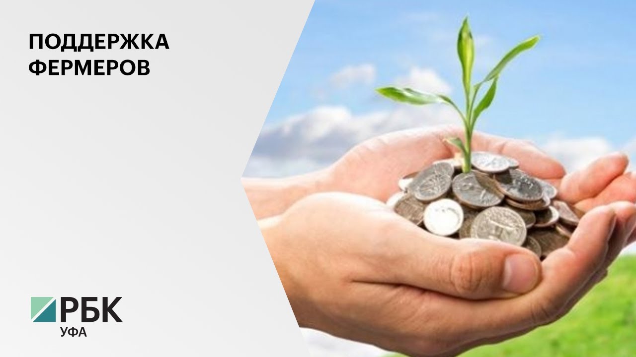 единый сельскохозяйственный налог, куда он уходит