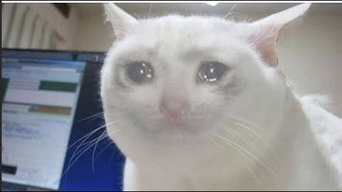 Shaiya Fawkes | Solid being Solid |