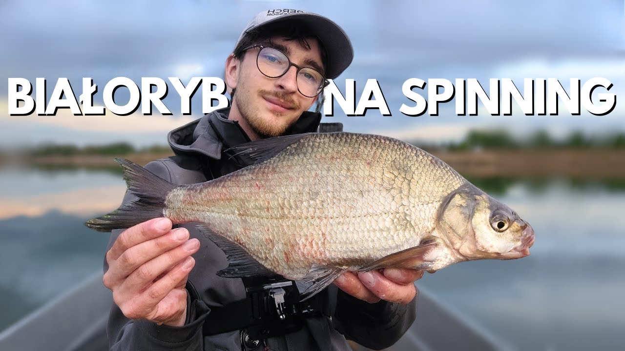 JAKIE RYBY UDA MI SIĘ ZŁOWIĆ? - BIAŁORYB NA SPINNING