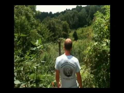 Solid Ground Farm Promo - YouTube