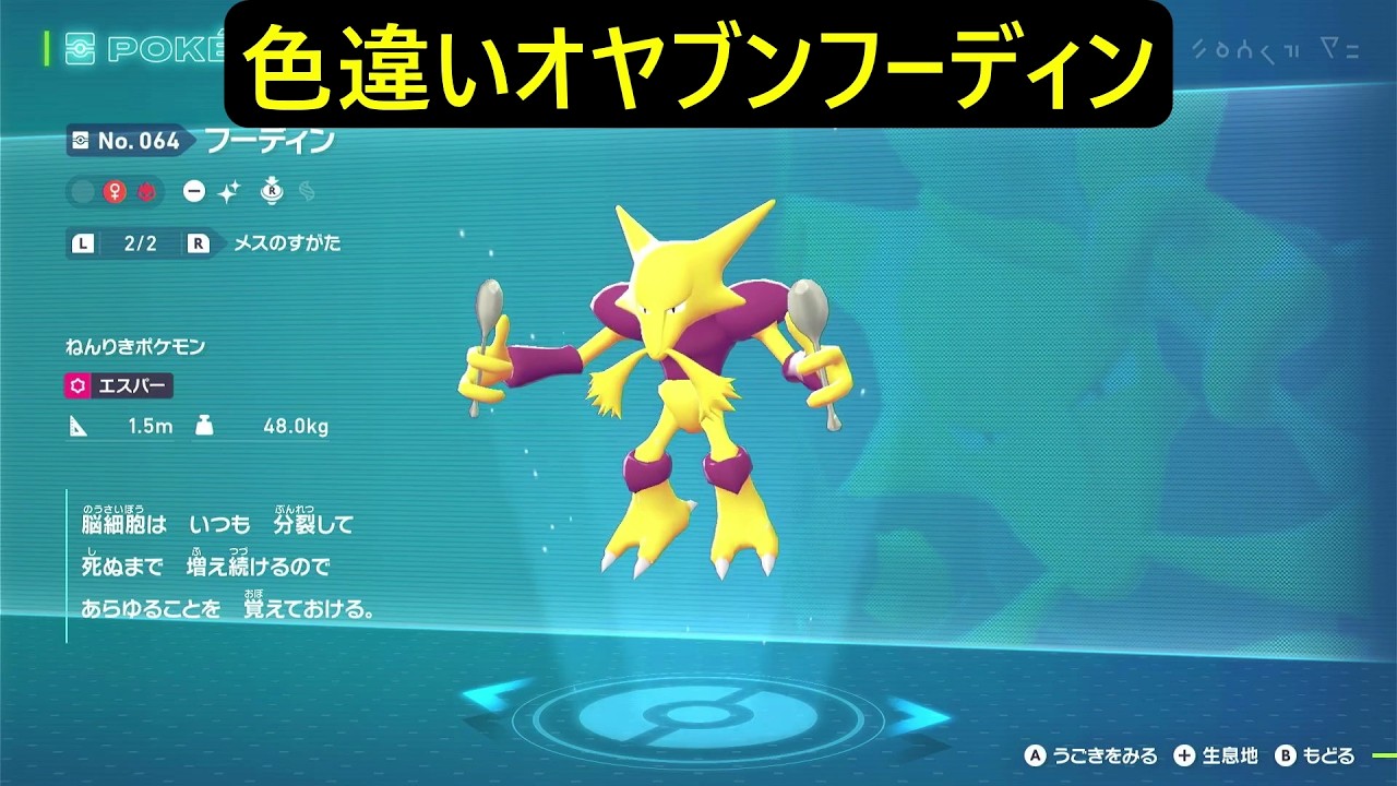 maxresdefault.jpg