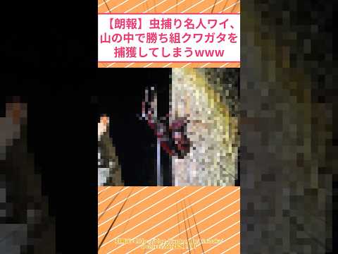 朗報 虫捕り名人ワイ 山の中で勝ち組クワガタを捕獲してしまうwww 2ch面白いスレ