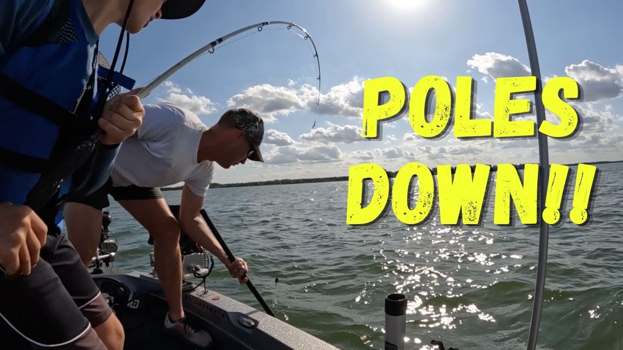 Early Summer Hybrid Bass Fishing – Poles Going Down Everywhere