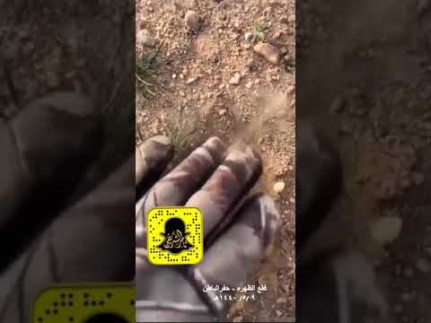 شيله ابشرو طاح المطر