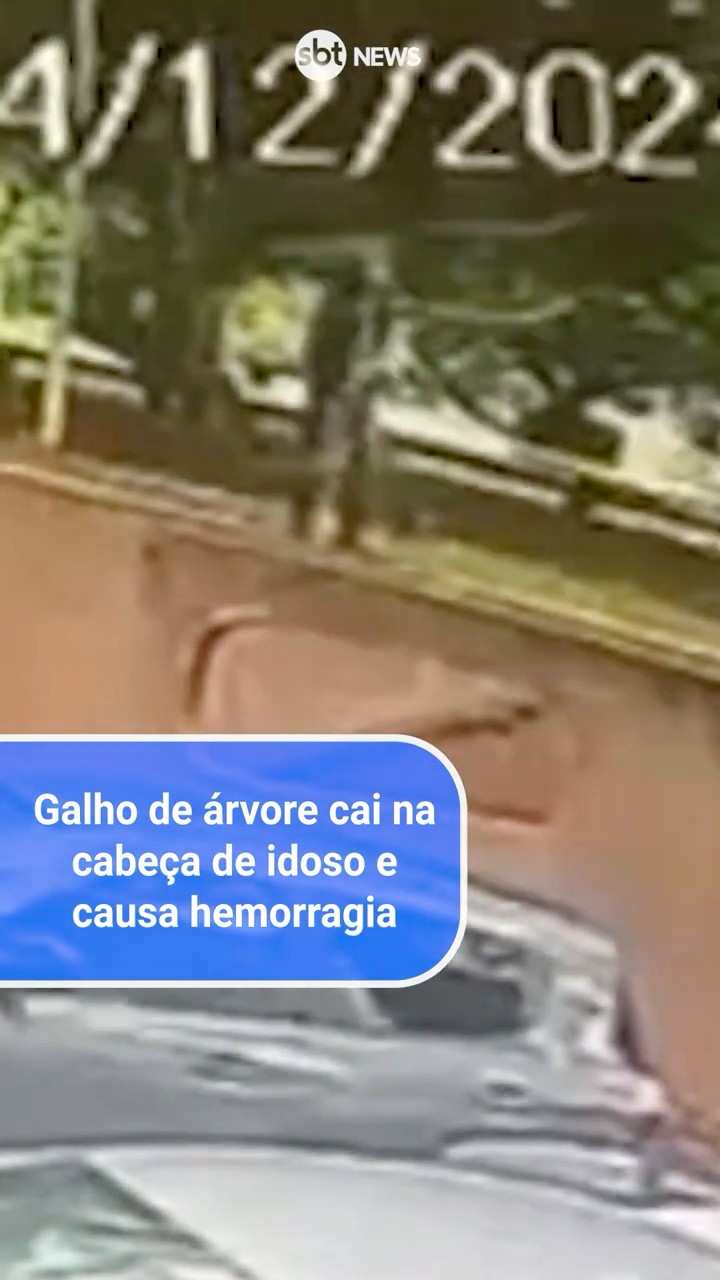 Galho de árvore cai na cabeça de idoso e causa hemorragia