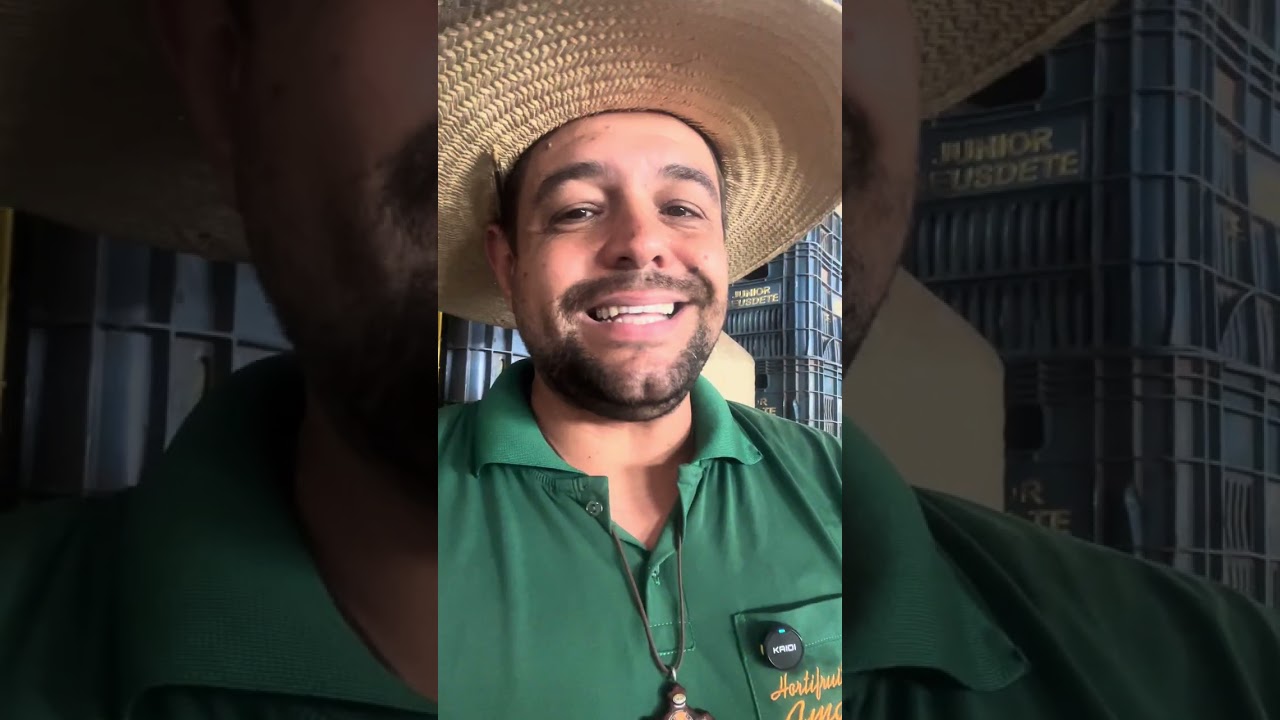 Bom dia. Pesquisa de preços Ceasa Minas cont. Agro. #ceasa #produtorrural #hortifruti #agro #ceagesp