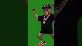 Green Screen monkey dance , funny monkey dance #artificialintelligence