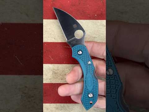 Spyderco- DragonFly in K390.    