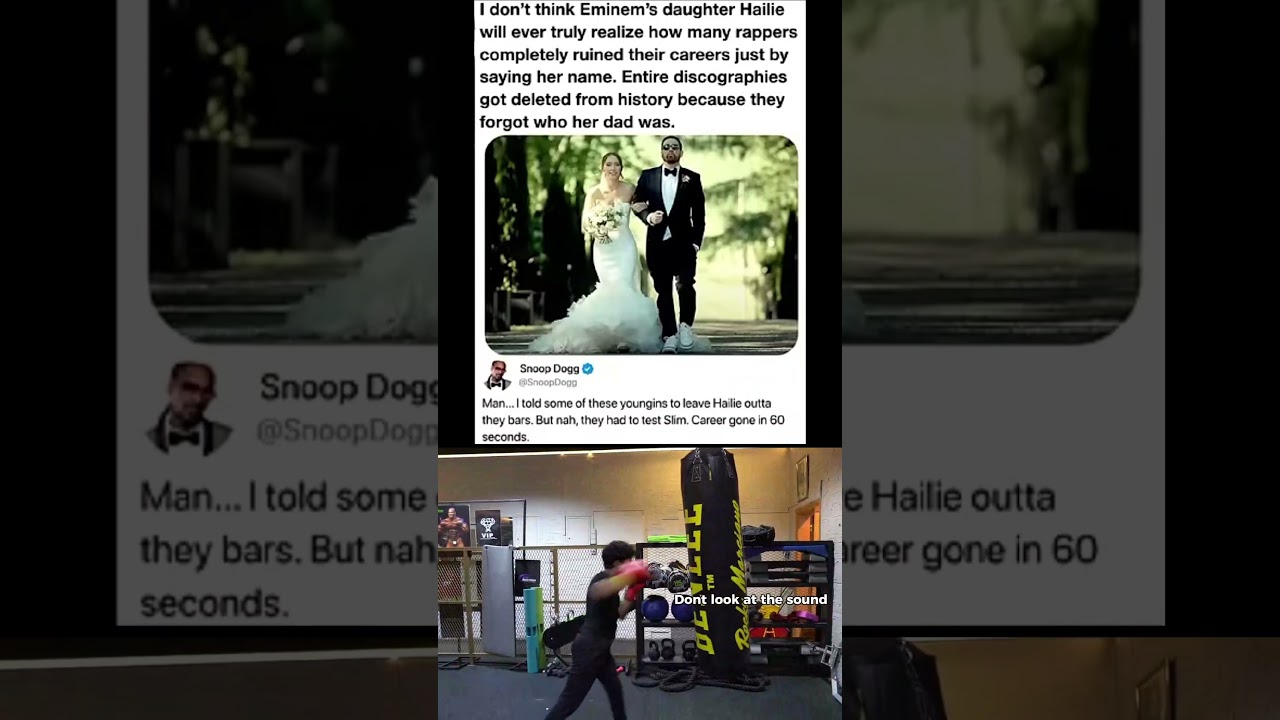 entire discography got deleted 