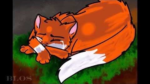 Blame It On The Rain MAP (COMPLETE)