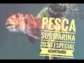Pesca Submarina 2020 Especial Acantilado