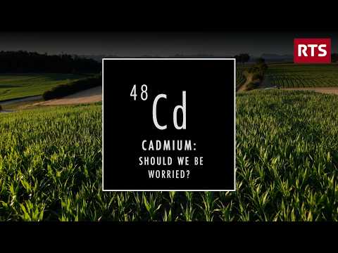 Cadmium: Should We Be Worried? | The Dark Side of Chocolate | Full Report