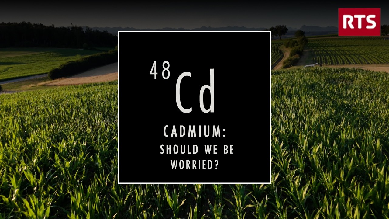 Cadmium: Should We Be Worried?