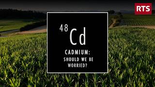 Cadmium: Should We Be Worried | The Dark Side of Chocolate | Full Report