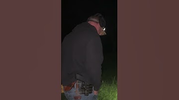 🔦Thermal Hog Kill Clip! Nonstop Dropping Shots! #Thermal #hunting #hogs #hoghunting #shorts