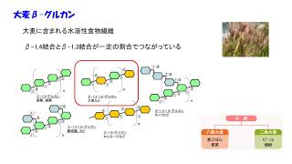 機能性関与成分：大麦β-グルカン。食後の血糖値の上昇をおだやかにする。お腹の調子を整える。LDL（悪玉）コレステロールを下げる。