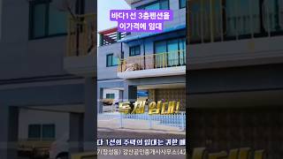 바다1선 3층펜션을 이가격에 임대 #펜션운영 #감포부동산