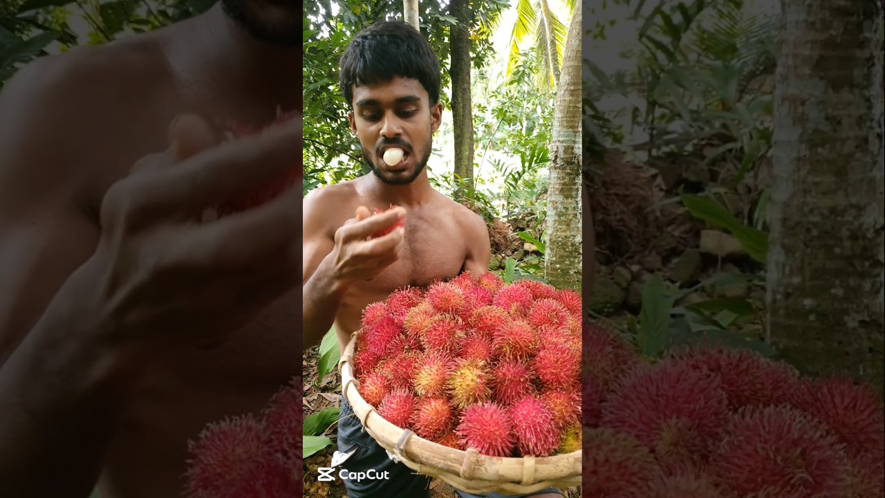 Rambutan season😝 