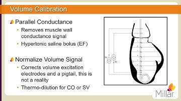 Millar 動物實驗壓力容積校正 Millar PV Loop Volume Calibration