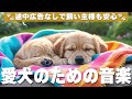 🐶広告なし🐶 犬が落ち着くリラックス音楽 / 愛犬とのお昼寝に最適なヒーリング音楽 / vol.291