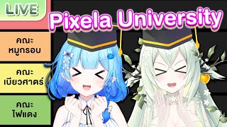 Pixela University คณะนี้เหมาะกับใคร ft. @JollyEstaa