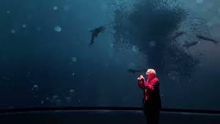Invisible Worlds at the American Museum of Natural History