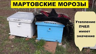 Много расплода и мороз в марте . Как помочь пчелам.