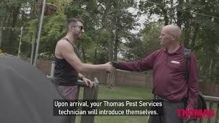 Spring Pest Control Service: What to Expect