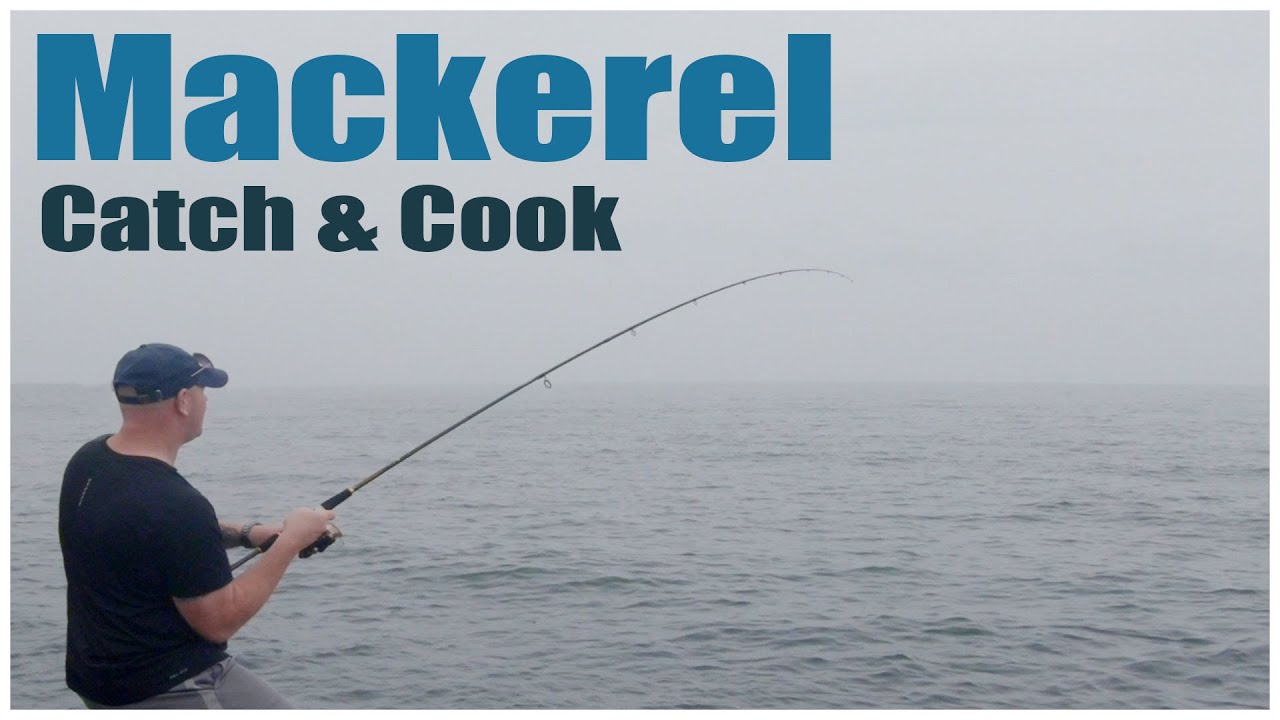mackerel fishing rod