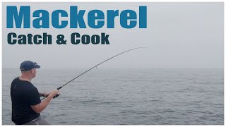 Spinning for Mackerel from the rocks - Catch and Cook | Sea Fishing UK
