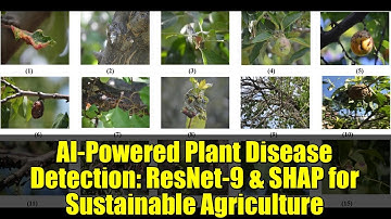 AI-Powered Plant Disease Detection: ResNet-9 & SHAP for Sustainable Agriculture
