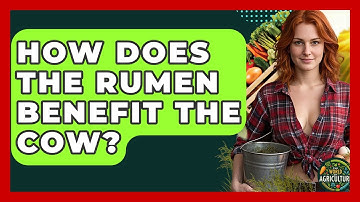 How Does The Rumen Benefit The Cow? - The World of Agriculture