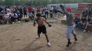 TANGO BLASTS "SON" "VS." MIGHTY MOUSE