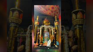 चंबल गार्डन मुहर्रम CHAMBAL GARDEN MOHHARAM 2026 #shortvideo #shortsfeed #viral #ashura #imamhussain
