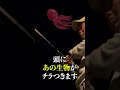 イカ釣りおじさんは締め方がお上手です