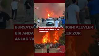 Bursa Gürsu Ilçesinde Çıkan Orman Yangınında Alevler Bir Anda Yükseldi
