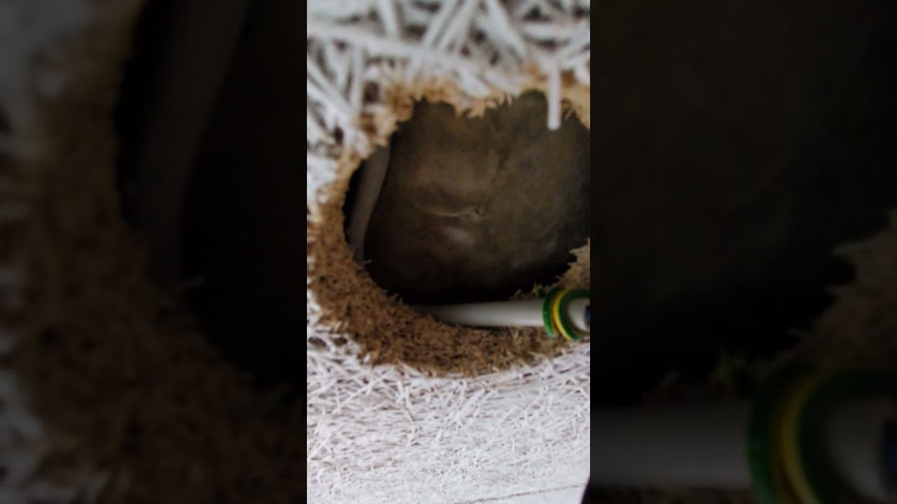 Spot installation 2020 og frem 