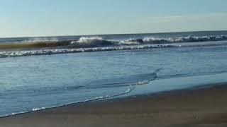 PLAYA DE MAR DE AJO -BUENOS AIRES-ARGENTINA